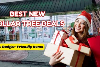 Best New Dollar Tree Items In December