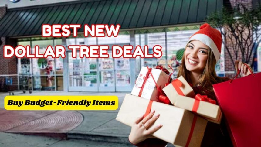 Best New Dollar Tree Items In December