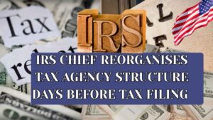 IRS Chief Reorganises Tax Agency Structure Days Before Tax Filing : What Could Be The Reason?