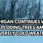 Michigan Continues With Exploding Trees Amid Severely Cold Weather