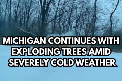 Michigan Continues With Exploding Trees Amid Severely Cold Weather