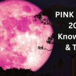 Pink Moon 2026 : Date & Time, Countries Observing, Astrology Benefits, How To See?