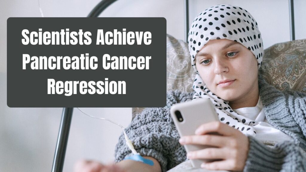 Scientists Achieve Pancreatic Cancer Regression