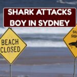 Shark Attacks Boy In Sydney: Check News & Current Condition