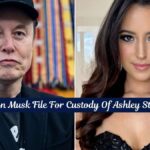 Will Elon Musk File For Custody Of Ashley St. Clair? : Know New Update