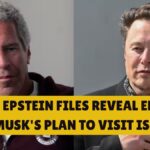Epstein Files Reveal Elon Musk's Plan To Visit Island