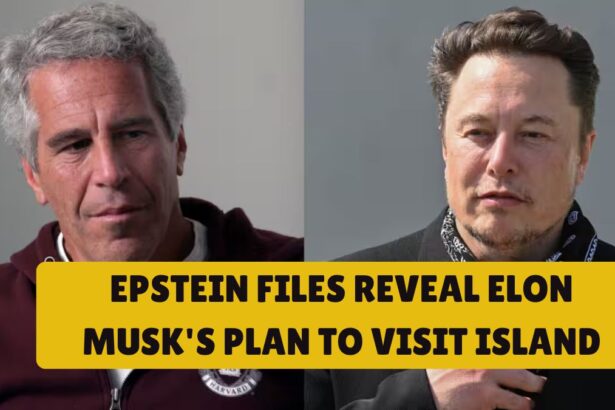 Epstein Files Reveal Elon Musk's Plan To Visit Island