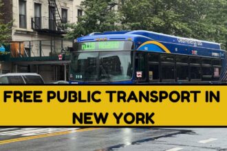Free Public Transport In New York