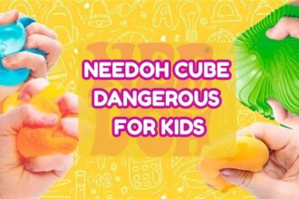 What Is a Needoh Cube?