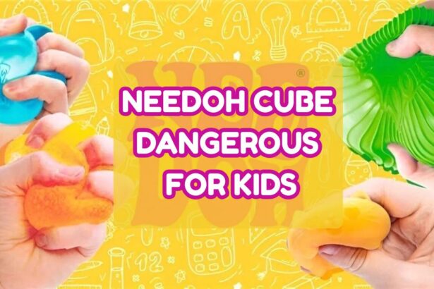 What Is a Needoh Cube?